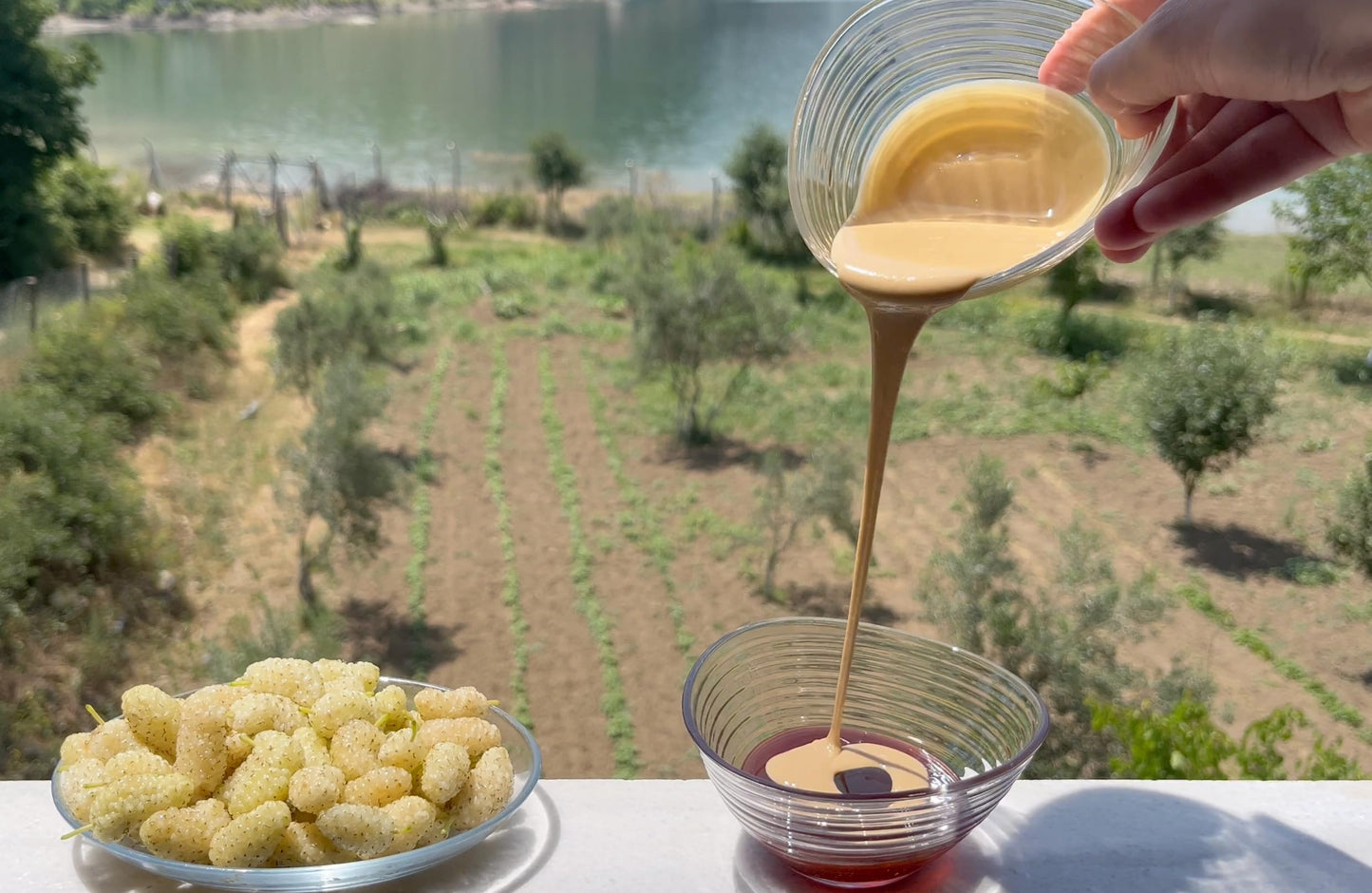 Premium 100% Mulberry Molasses (Turkish Pekmez) – Pure White Mulberry Syrup, Petimezi 12 FL OZ